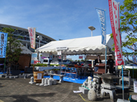 ��P�X��܂�܂鋛��